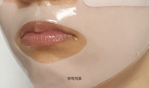 [VT Cosmetics] Pro Cica Reedle Shot 100 2Step Hydrogel Mask