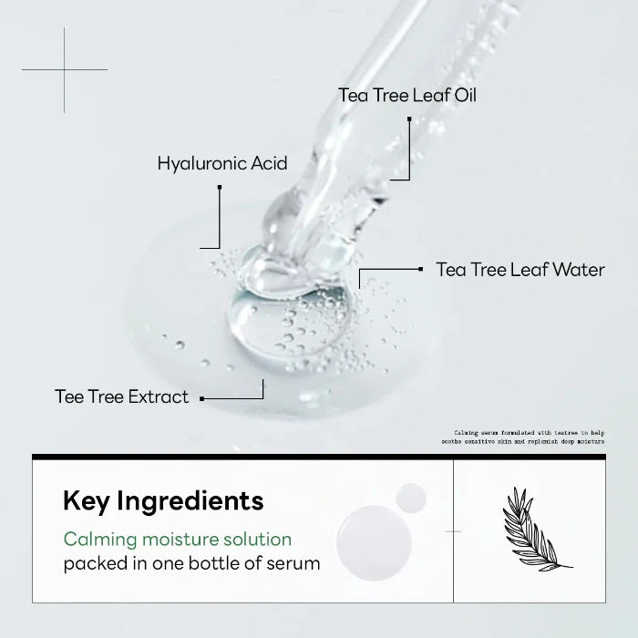 [Mediheal] Teatree Beruhigendes Hydra Serum